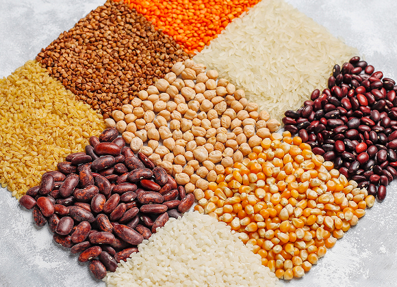 Loka Exports millet products facility